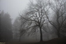 2018-03 Capanna Mara con nebbia-100.JPG