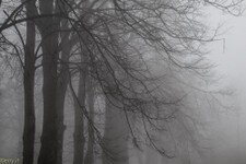 2018-03 Capanna Mara con nebbia-101.JPG