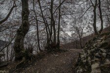 2018-03 Capanna Mara con nebbia-103.JPG