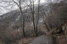 2018-03 Capanna Mara con nebbia-105.JPG
