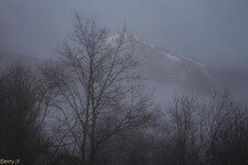 2018-03 Capanna Mara con nebbia-107.JPG