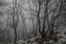 2018-03 Capanna Mara con nebbia-108.JPG