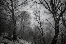 2018-03 Capanna Mara con nebbia-110.JPG