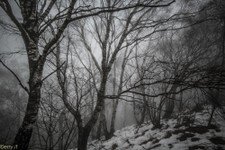 2018-03 Capanna Mara con nebbia-111.JPG