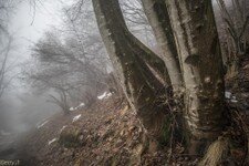 2018-03 Capanna Mara con nebbia-112.JPG