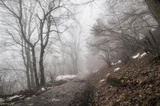 2018-03 Capanna Mara con nebbia-113.JPG