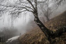 2018-03 Capanna Mara con nebbia-115.JPG