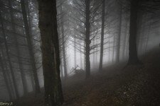 2018-03 Capanna Mara con nebbia-116.JPG