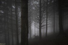 2018-03 Capanna Mara con nebbia-117.JPG