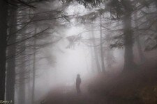 2018-03 Capanna Mara con nebbia-118.JPG
