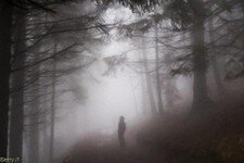 2018-03 Capanna Mara con nebbia-119.JPG