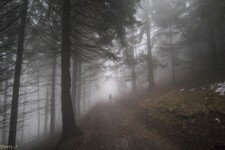 2018-03 Capanna Mara con nebbia-120.JPG