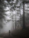 2018-03 Capanna Mara con nebbia-121.JPG