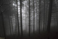 2018-03 Capanna Mara con nebbia-122.JPG