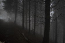 2018-03 Capanna Mara con nebbia-123.JPG