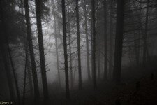 2018-03 Capanna Mara con nebbia-124.JPG
