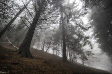 2018-03 Capanna Mara con nebbia-125.JPG