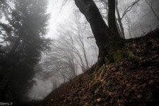 2018-03 Capanna Mara con nebbia-126.JPG