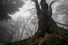 2018-03 Capanna Mara con nebbia-127.JPG