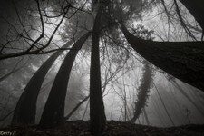 2018-03 Capanna Mara con nebbia-128.JPG