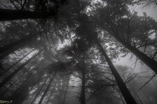 2018-03 Capanna Mara con nebbia-130.JPG