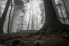 2018-03 Capanna Mara con nebbia-131.JPG