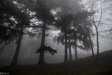 2018-03 Capanna Mara con nebbia-132.JPG