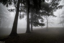 2018-03 Capanna Mara con nebbia-133.JPG