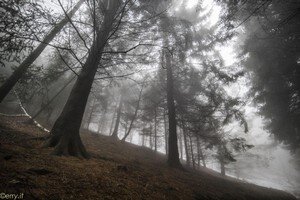 2018-03 Capanna Mara con nebbia-125.JPG