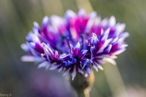 Fotografi in viaggio 2017-23.JPG