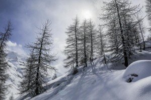 Val di Fex-31.JPG