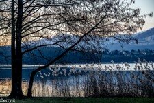 2021-09 Lago di Annone-127.jpg