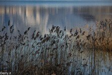 2021-09 Lago di Annone-193.jpg